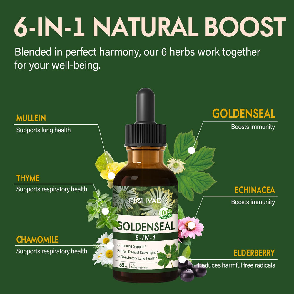 Graphic of key herbs: Goldenseal, Echinacea, Elderberry, Mullein, Thyme and Chamomile