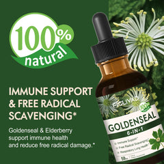 Dropper dispensing tincture from the bottle