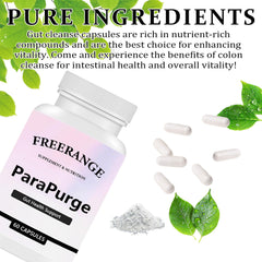 FITactic ParaPurge gut-health visual demonstrates gentle routine that aligns with natural body rhythms.