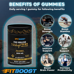 Shilajit Gummies ingredients including Ashwagandha and Saffron
