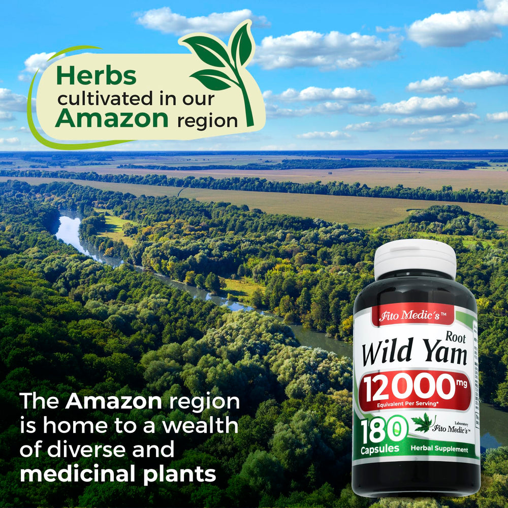 Serving size of Wild Yam Root capsules