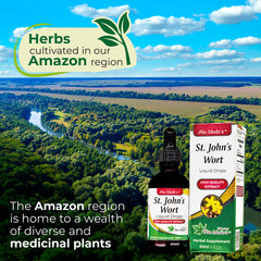 Front view of Fito Medic's St John's Wort tincture bottle