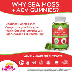 Flamingo Supplements Sea Moss Gummies ingredients display with ACV and bladderwrack for skin support