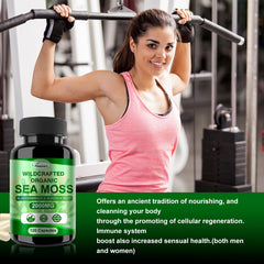 Dosage guide for Fleamart sea moss capsules