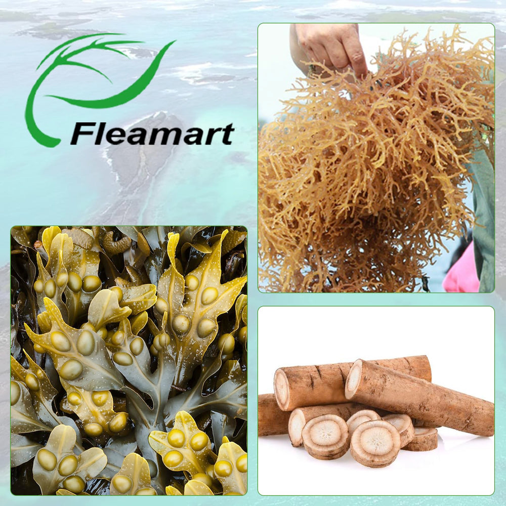 Packaging of Fleamart sea moss capsules