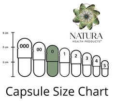 Pills and natural herbs arranged for immune support imagery