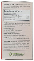 Plant-based iron supplement ingredients and nutrition