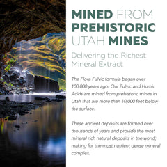 Close-up of high fulvic acid concentration per capsule