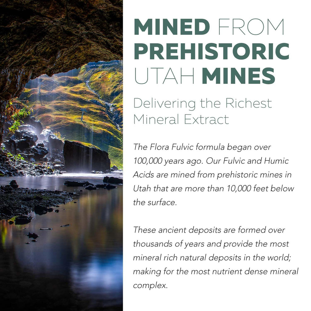 Serving capsule of Flora Fulvic 550 mg