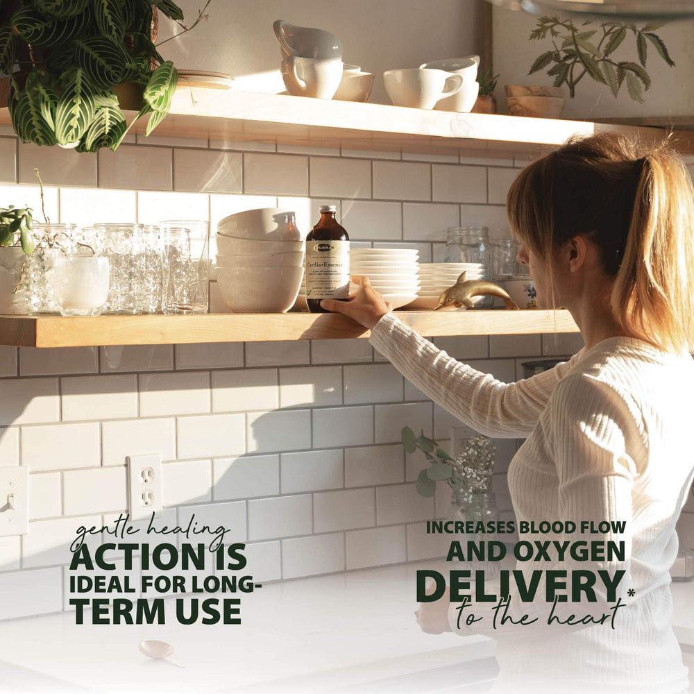 Hibiscus flower and passionflower components close-up