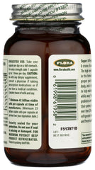 Illustration of digestive system with probiotic support