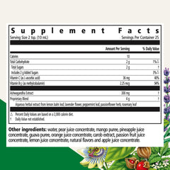 Back view of Floradix Ashwagandha Liquid bottle
