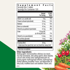 Close-up of tablet bottle showing 10 mg iron per serving