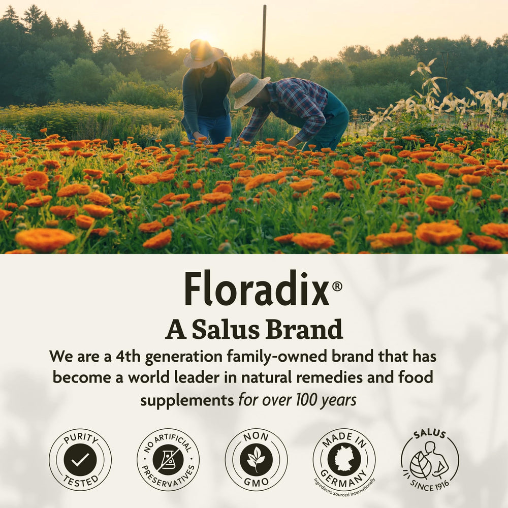 Icons indicating Vegetarian, Gluten-Free and Non-GMO certified