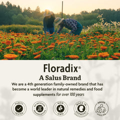 Icons indicating Vegetarian, Gluten-Free and Non-GMO certified