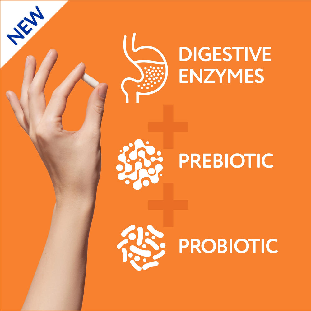 Digestive system icons showing breakdown of fats, carbs, proteins, and fibers