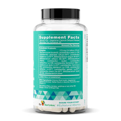 Healthy gut with strong immunity concept
