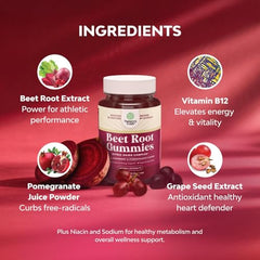 Grapeseed and pomegranate ingredients illustration
