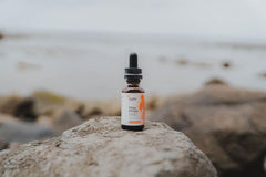Flow Drops immune support with Turkey Tail and Chaga