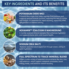 Flyby Electrolytes Powder scoop with measuring spoon for precise on-the-go nutrition