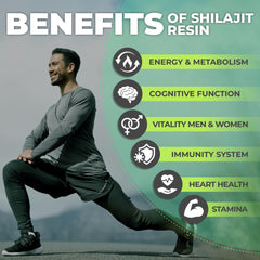 Graphic highlighting 85+ minerals in FlyFeel Shilajit Resin