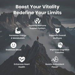 Shilajit extract with fulvic acid and L-Arginine ingredients