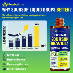 Graphic highlighting gut health and immune support benefits