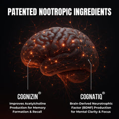Rhodiola Rosea root with other cognitive support ingredients
