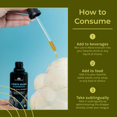 Concept image: focus, memory, and brain health with Lions Mane