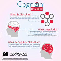 Person focusing with Cognizin Citicoline for memory and clarity