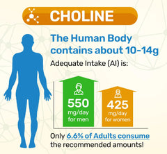 Made in USA GMP facility insignia