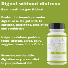 Graphic illustrating digestion and gut health