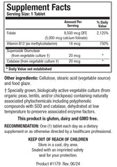 Folate 5 Plus high potency with B12 methyl support product overview