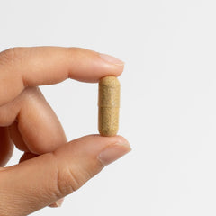 Organic ginger root included in the blend