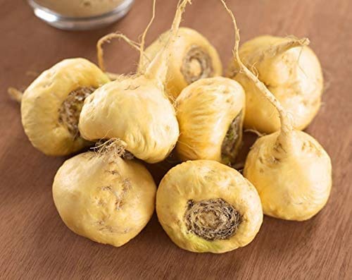 Maca powder used in smoothies and recipes