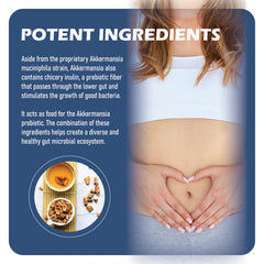 MAPUG Akkermansia probiotic for gut health for men and women - 1 piece