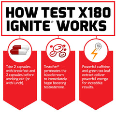 Force Factor Test X180 Ignite lean muscle and strength gains focus in imagery.