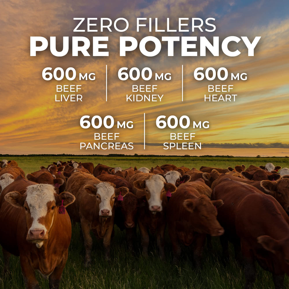 Illustration showing five organ types: liver, heart, pancreas, kidney, spleen