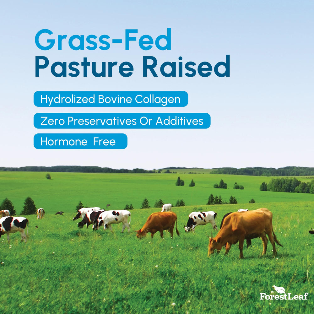 Grass-fed collagen source emblem on packaging
