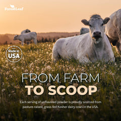 No antibiotics, hormones, or GMOs in ForestLeaf Colostrum Powder