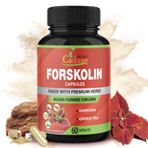 Forskolin supplements bottle with 60 capsules
