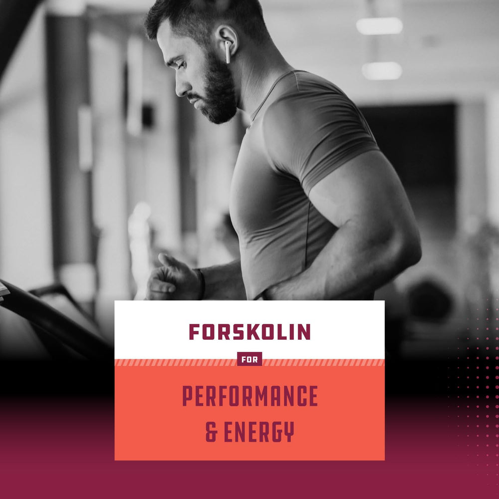 Forskolin supports lean muscle during dieting