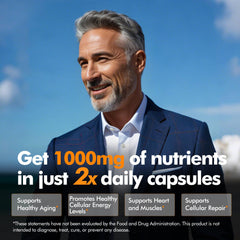 Absorption technology concept for NAD+ supplement