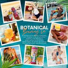 Four-pack box featuring Botanical Brewing kava seltzer cans