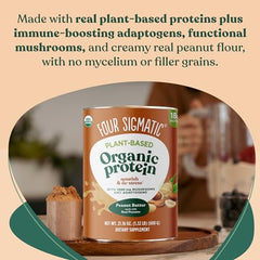 Mushrooms and adaptogens display: lion's mane, chaga, cordyceps, reishi
