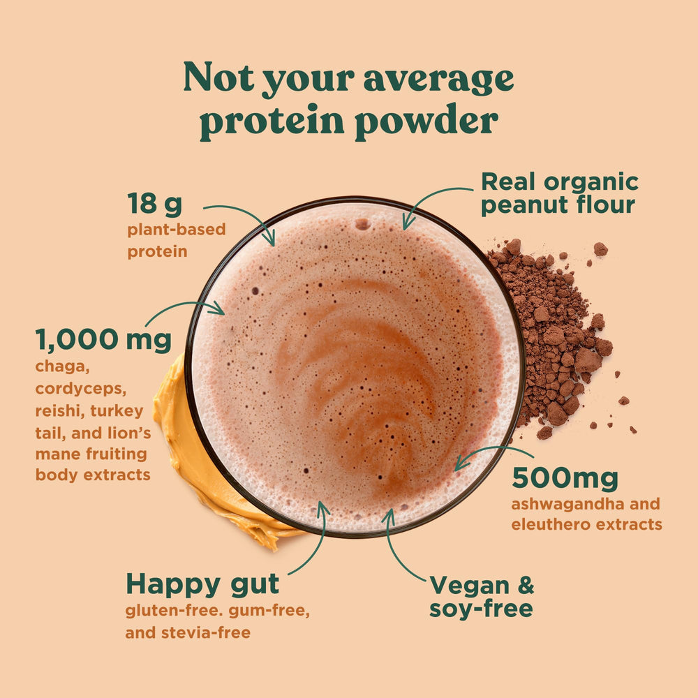 Serving scoop of peanut butter flavor protein powder