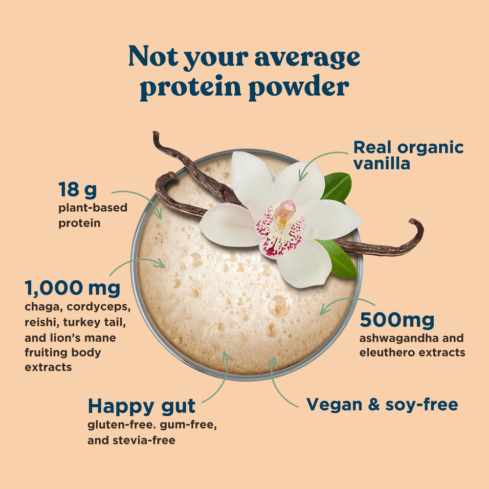 Vanilla flavor branding with sweet vanilla scoop
