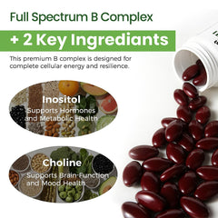Choline and Inositol ingredients depiction