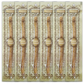 FREEGRIN Miswak Sticks 6-pack vacuum-sealed packaging