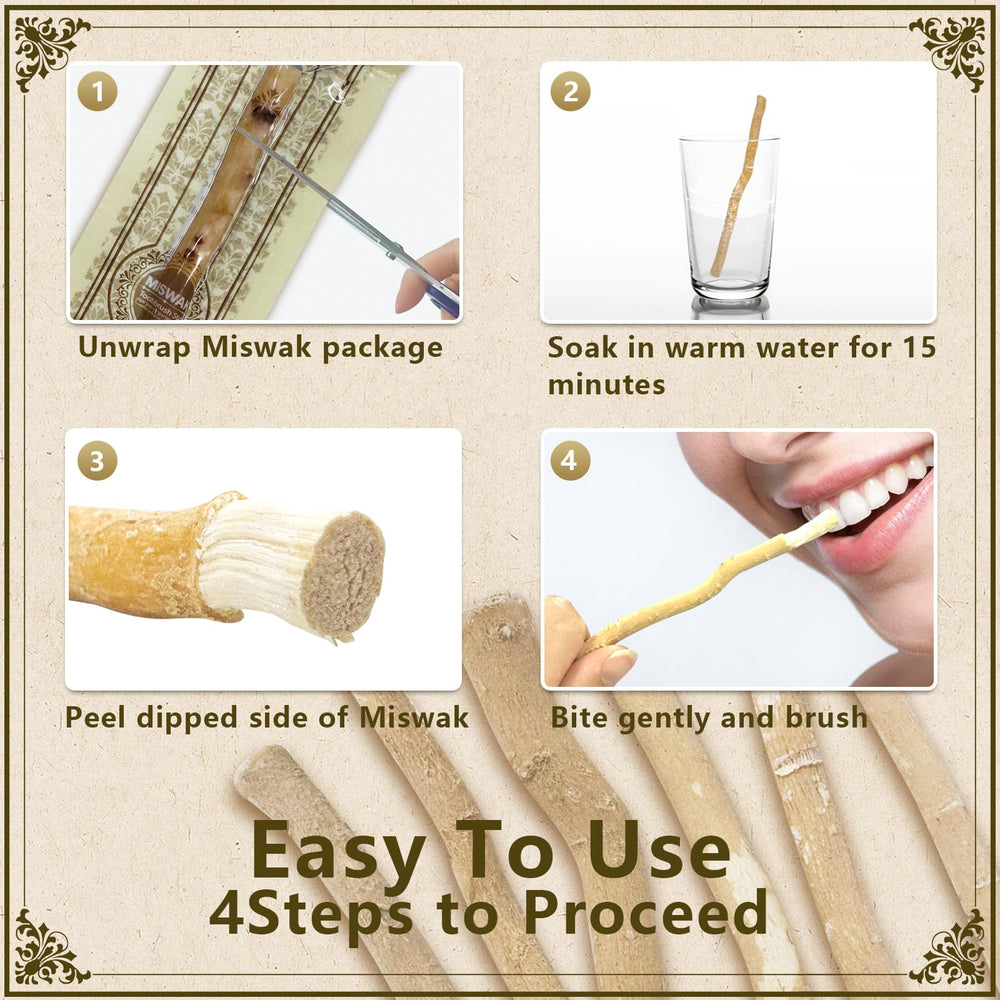 Natural Miswak fibers for cleaning teeth